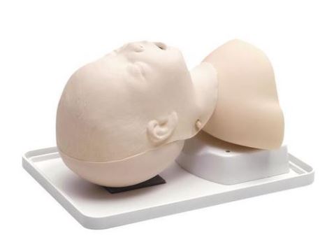 SIMULADOR PEDIÁTRICO DE ENTRENAMIENTO PARA LA MANIPULACIÓN DE LAS VÍAS AÉREAS