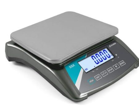 BALANZA INDUSTRIAL ACCUREX DSX-3