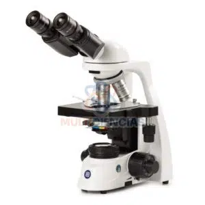 microscopio