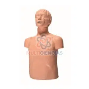 modelos anatomicos