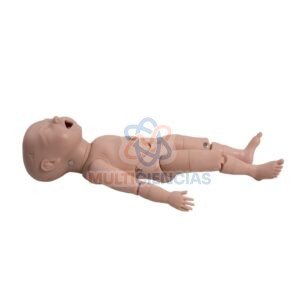 modelo anatomico