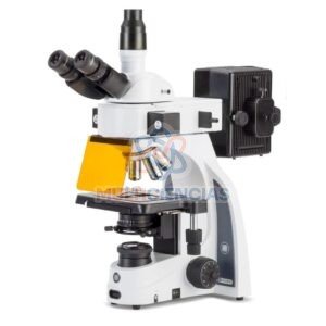 microscopio