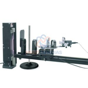 maqueta del sistema nervioso