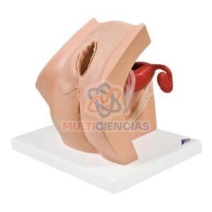 venta de material de vidrio para laboratorio