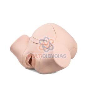 simulador de parto