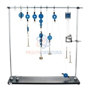 modelo anatomico