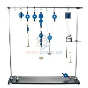 modelo anatomico
