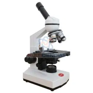 microscopio