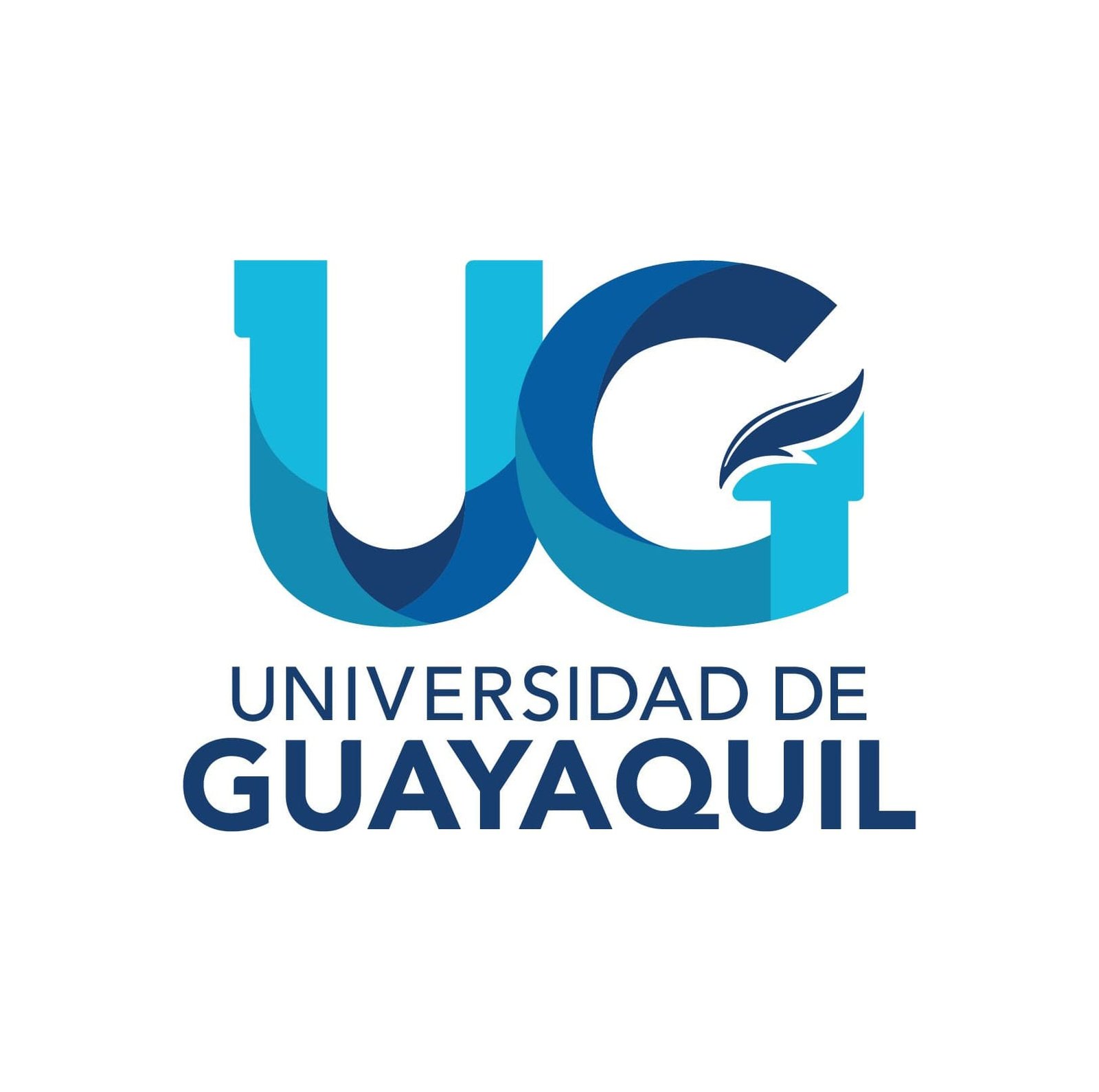 Ing. Gonzalo Villa M.