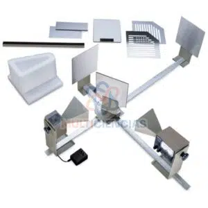 maqueta del sistema nervioso