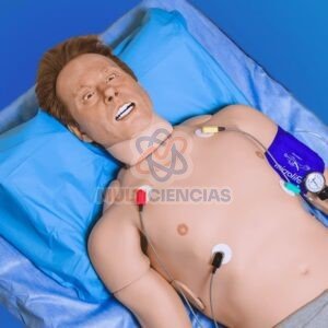 simulador leonardo